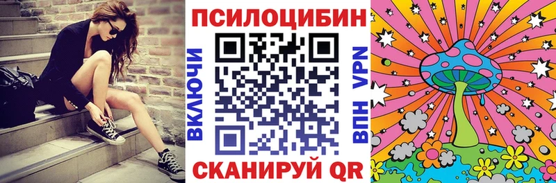 купить закладку  Пустошка  Галлюциногенные грибы GOLDEN TEACHER 