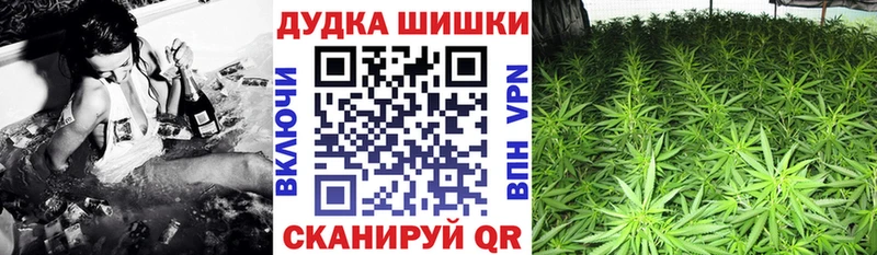 где найти   Пустошка  Марихуана White Widow 
